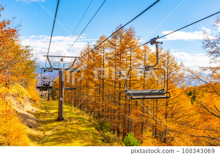 Autumn Kiyosato Terrace Yamanashi Prefecture 108343069