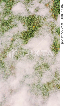 Clouds Moving Above Autumn Pine Forest. Aerial View Flight Above Amazing Misty Forest Landscape. Scenic View Of Autumn Foggy Morning In Misty Forest Park Woods. Nature Elevated View 108343382
