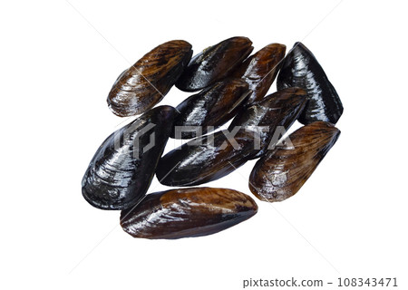 midye dolmasi, traditional Turkish dish 108343471