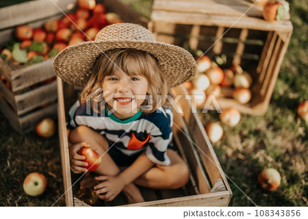 Smiling little child with apple sitting in wooden box in orchard.Organic fruits Smiling little child with apple sitting in wooden box in orchard.Organic fruits 108343856
