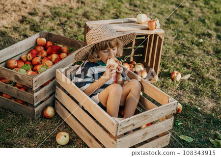 Funny little child bites juicy apple,sitting in wooden box garden.Organic fruits Funny little child bites juicy apple,sitting in wooden box garden.Organic fruits 108343915