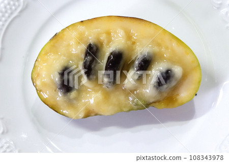 Pawpaw, fruit native to North America Pawpaw, fruit native to North America 108343978