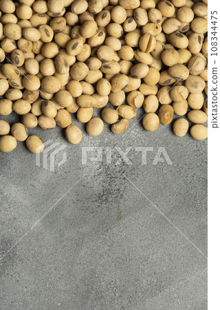 Close up detail of soybeans, Harvested in the Buenos Aires Countryside, Argentina. 108344475