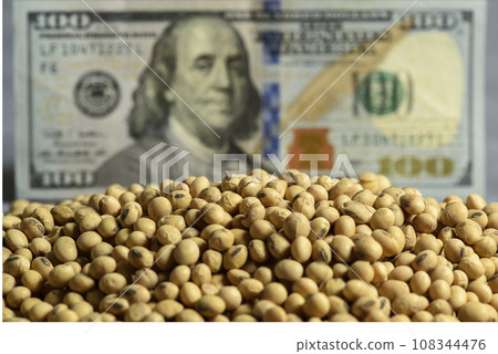 Dollars banknotes and coins and soy beans, commoditi value concept. Dollars banknotes and coins and soy beans, commoditi value concept. 108344476