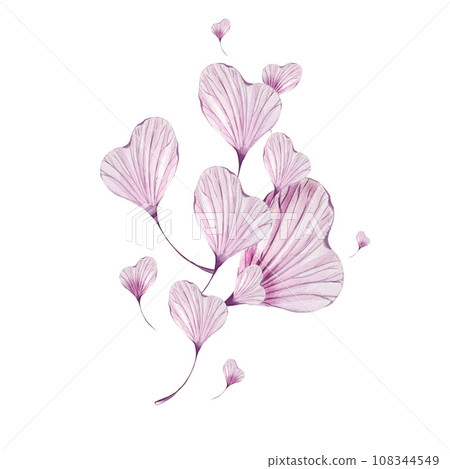 composition with flower purple petal. isolated on white background 108344549