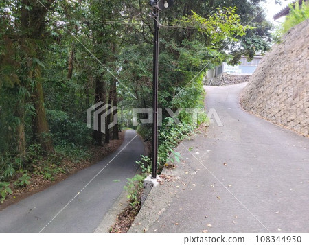 [SG N20U] 2023/09/30 山景 - 日本和歌山縣伊都郡九度山町慈尊院 108344950