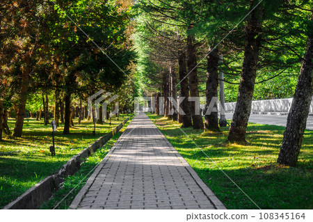 View of walking path in park among green trees. Empty deserted natural park on summer day View of walking path in park among green trees. Empty deserted natural park on summer day 108345164