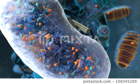 Organelles inside Eukaryote, focus on a vacuole - 3d illustration 108345289