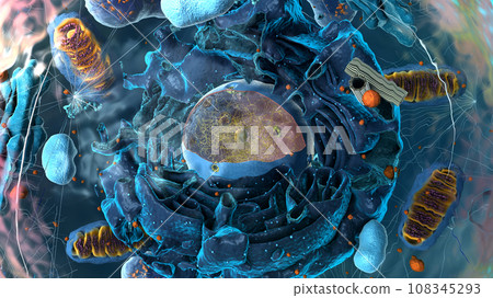 Subunits inside eukaryotic cell, nucleus and organelles and plasma membrane - 3d illustration Subunits inside eukaryotic cell, nucleus and organelles and plasma membrane - 3d illustration 108345293