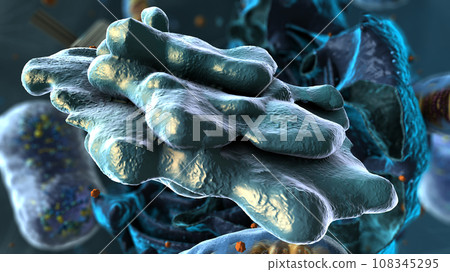 Organelles inside Eukaryote, focus on golgi apparatus - 3d illustration 108345295
