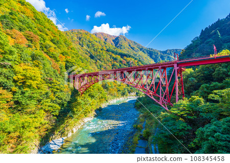 黑部峽谷和新山彥橋的黃葉在藍天的背景下閃閃發光 108345458