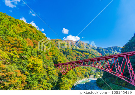 黑部峽谷和新山彥橋的黃葉在藍天的背景下閃閃發光 108345459