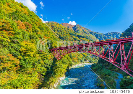 黑部峽谷的黃葉和電車在藍天的襯托下熠熠生輝 黑部峽谷的黃葉和電車在藍天的襯托下熠熠生輝 108345476