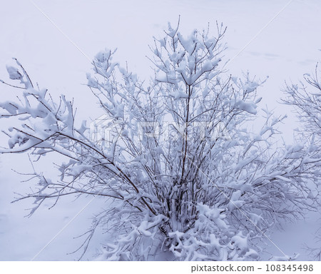 Winter nature background. Morning in the city. Urban view. Winter nature background. Morning in the city. Urban view. 108345498