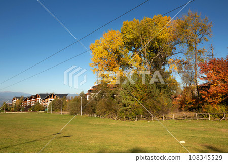 Bansko, Bulgaria autumn landscape, colorful trees Bansko, Bulgaria autumn landscape, colorful trees 108345529