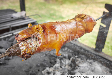 Close up photo of a roasted guinea pig on a grill, selective focus, Ecuador. 108345550