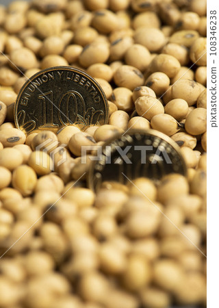Argentine pesos banknotes and coins and soy beans, commoditi value concept. 108346238
