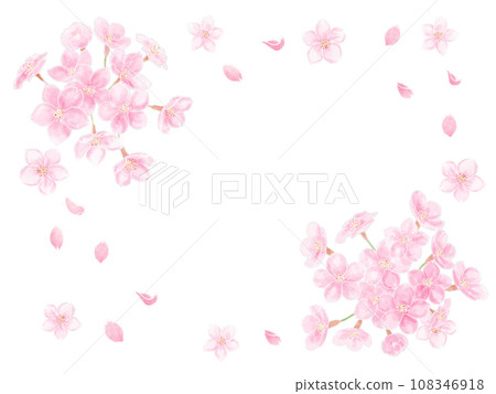 Frame of cherry blossoms in full bloom painted in watercolor Frame of cherry blossoms in full bloom painted in watercolor 108346918