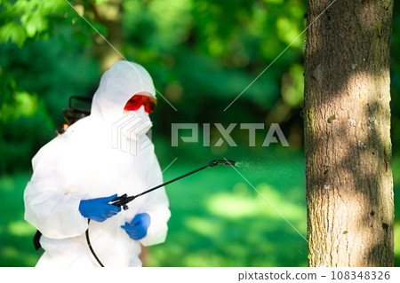 A worker sprays pesticides on trees outdoors. Tree pest control. Insect pest control 108348326