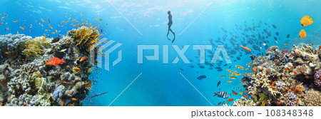 Underwater Tropical Corals Reef with colorful sea fish and freediver. Marine life sea world. Tropical colourful underwater panormatic seascape. Underwater Tropical Corals Reef with colorful sea fish and freediver. Marine life sea world. Tropical colourful underwater panormatic seascape. 108348348