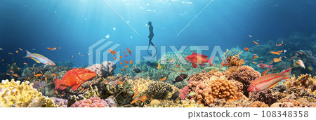 Underwater Tropical Corals Reef with colorful sea fish and freediver. Marine life sea world. Tropical colourful underwater panormatic seascape. 108348358