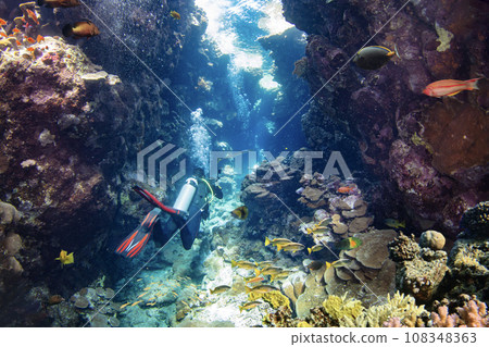 Underwater Tropical Corals Cave with Scuba Diver. Marine Life Sea World. Tropical Colourful Underwater Seascape. 108348363