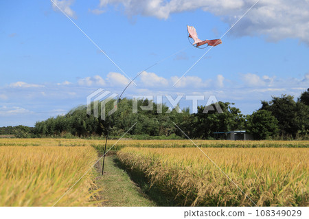Birdscore Birdscore 108349029