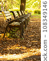Autumn green road bench and fallen leaves (Part 2) 108349146