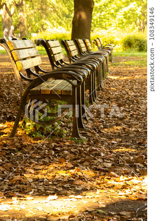 Autumn green road bench and fallen leaves (Part 2) Autumn green road bench and fallen leaves (Part 2) 108349146