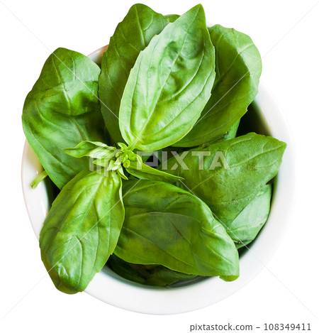 Ingredients for basil pesto preparation. 108349411