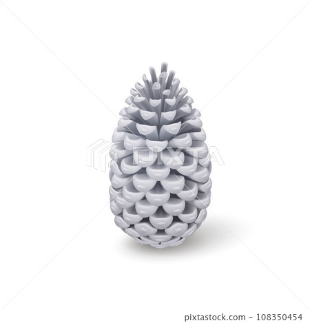 Fir Cone 108350454