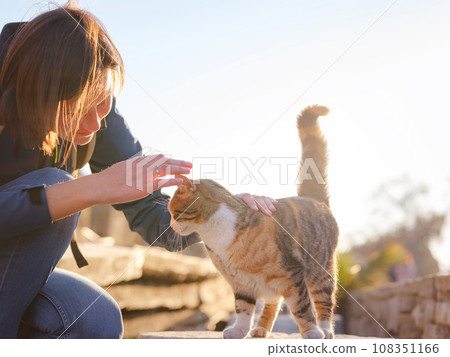 cats of Turkey, small resort town of Side with ancient Greek ruins. female tourist petting stray cat on street over sunset time in spring or fall season 108351166