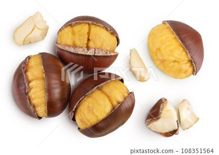 roasted peeled chestnut isolated on white background wit full depth of field. Top view. Flat lay roasted peeled chestnut isolated on white background wit full depth of field. Top view. Flat lay 108351564