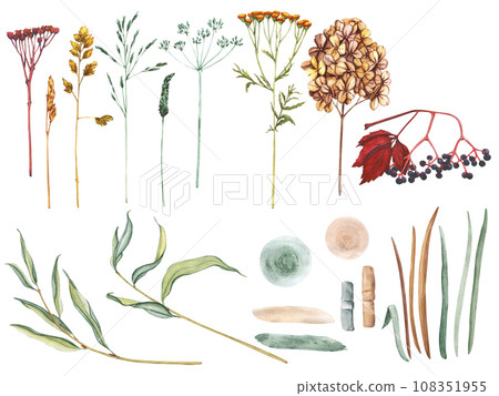 Watercolor set of meadow leaves and flowers, branches and wild dry grass. Evergreen grass field in nature, meadow in springtime. Summer botany, natural elements. Natural green tones 108351955