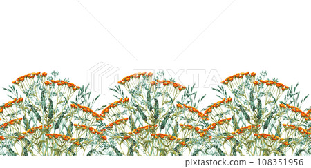 Seamless border watercolor bouquet of meadow leaves and yellow tansy, flowers, branches and wild dry grass. Evergreen grass field in nature, meadow in springtime. Summer botany, natural elements 108351956