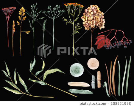 Watercolor set of meadow leaves and flowers, branches and wild dry grass. Evergreen grass field in nature, meadow in springtime. Summer botany, natural elements. Natural green tones Watercolor set of meadow leaves and flowers, branches and wild dry grass. Evergreen grass field in nature, meadow in springtime. Summer botany, natural elements. Natural green tones 108351958