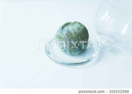 An old lemon that is all covered in mold. The lemon is spoiled and rotten. An old lemon that is all covered in mold. The lemon is spoiled and rotten. 108352080