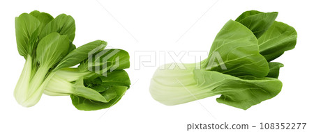 Fresh pak choi cabbage isolated on white background with full depth of field Fresh pak choi cabbage isolated on white background with full depth of field 108352277