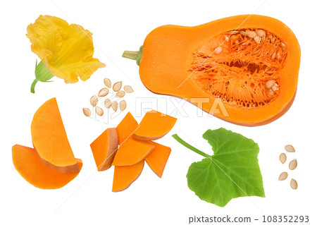 butternut squash half isolated on white background with  full depth of field. Top view. Flat lay 108352293