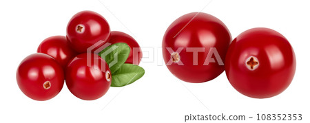 Cranberry with leaves isolated on white background with full depth of field Cranberry with leaves isolated on white background with full depth of field 108352353
