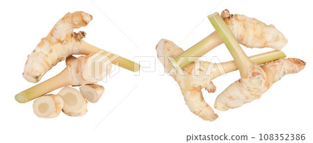Fresh galangal root with slices isolated on white background with  full depth of field. Top view. Flat lay 108352386