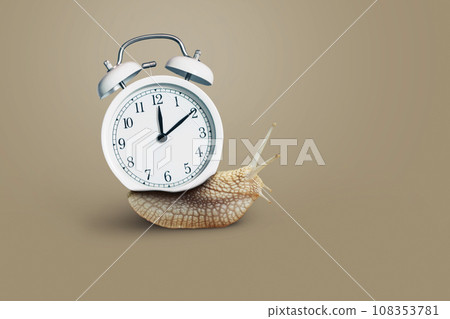 Creative snail with a vintage white clock crawls on a beige background, concept. Speed, Deadline and success, creative idea. Time goes by very slowly Creative snail with a vintage white clock crawls on a beige background, concept. Speed, Deadline and success, creative idea. Time goes by very slowly 108353781