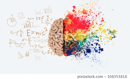 Brain. Left right human brain concept. Creative part and logical part with social and business part. Creative art brain explodes with paint splatter. Mathematical successful mindset with formulas. 108353818