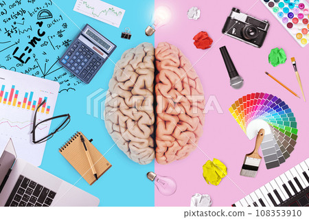 Creative brain with left math business functions and right creative art ability. Logic, mind and skills, creative idea. Teaching choice, concept. School and college. Genius Creative brain with left math business functions and right creative art ability. Logic, mind and skills, creative idea. Teaching choice, concept. School and college. Genius 108353910