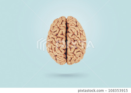 Real creative brain on a blue background, top view. Creative idea, concept. Health and neurosurgery Real creative brain on a blue background, top view. Creative idea, concept. Health and neurosurgery 108353915