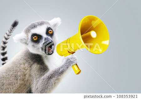 Funny beautiful lemur is holding a yellow loudspeaker and screaming on a neutral background. Attracting attention and marketing, creative idea. Successful leader. Speaks loudly, concept 108353921
