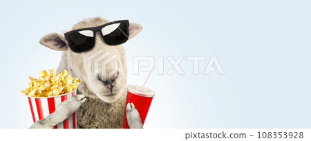 Funny hipster sheep with fashion sunglasses holds a red cup of cola and a basket of popcorn rest and watching a movie on a blue background. Creative idea, rest. Happy fun animal concept Funny hipster sheep with fashion sunglasses holds a red cup of cola and a basket of popcorn rest and watching a movie on a blue background. Creative idea, rest. Happy fun animal concept 108353928