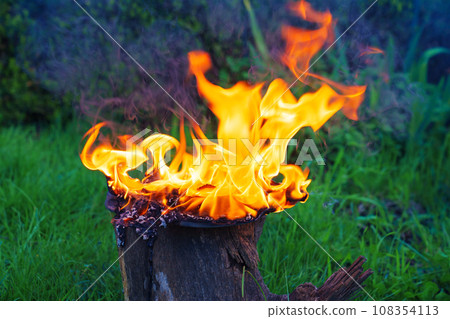 burning an object on a stump in a meadow.  108354113
