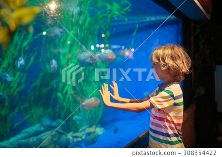 Family in aquarium. Kids watch fish, marine life 108354422
