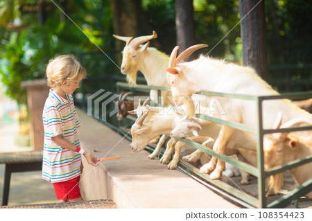 Kids feed animals at petting zoo. Kids feed animals at petting zoo. 108354423